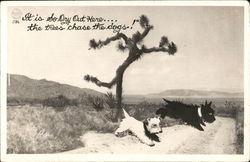 Scottie Dogs in Desert Postcard