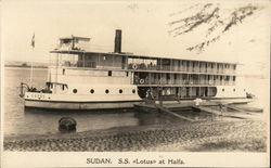 S.S. Lotus at Halfa Sudan Africa Postcard Postcard Postcard