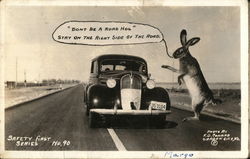 Large Rabbit Scolds A Driver Hogging The Road Postcard