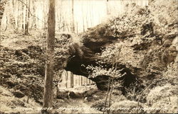 Natural Bridge, Maquoketa Caves State Park Postcard