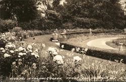 Flowers in Formal Garden, Frame Park Waukesha, WI Postcard Postcard Postcard