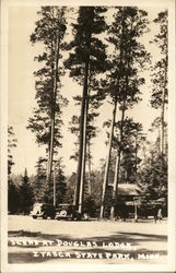 Scene from Douglas Lodge, Itasca State Park Park Rapids, MN Postcard Postcard Postcard