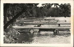 Clear Lake State Park Atlanta, MI Postcard Postcard Postcard