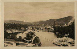 View of Town Postcard