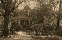 Pine Cottage Postcard