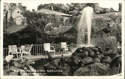 Palmer Clinic Gardens Davenport, IA Postcard Postcard Postcard