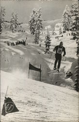 1960 Winter Olympics Tahoe National Forest California Postcard