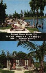 Warm Mineral Springs Postcard