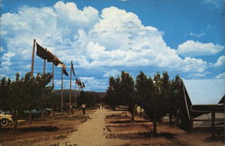 Philmont Scout Ranch - Tent City Postcard