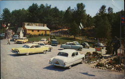 Animal Land Lake George, NY Postcard Postcard Postcard