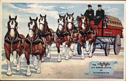 Wilson & Co. The Six Horse Hitch of Clydesdales Chicago, IL Postcard Postcard Postcard