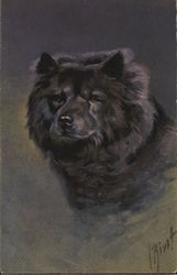 Painting of a Chow-Chow Dogs Postcard Postcard Postcard