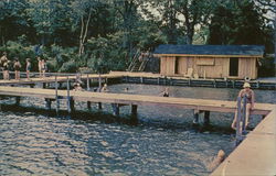 Camp Hoffman - Lowry Waterfront Postcard