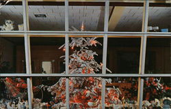 Vera Fuller's Flower Shop - Holiday Tree Visible Through Window Postcard