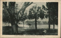 Lake Lucerne, Looking North Postcard