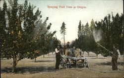 Spraying Fruit Trees in Oregon Farming Postcard Postcard Postcard