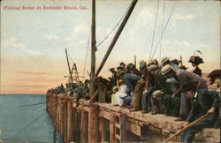 Fishing Scene Redondo Beach, CA Postcard Postcard Postcard