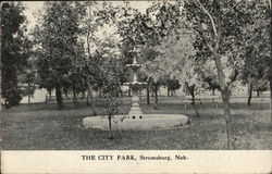 The City Park Stromsburg, NE Postcard Postcard Postcard