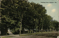 Whiting Park Bangor, ME Postcard Postcard Postcard