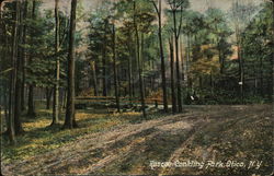 Roscoe Conkling Park Utica, NY Postcard Postcard Postcard