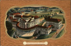 View of University Postcard