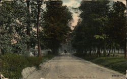 Red Spring Lane Postcard