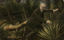 In a Tight Place - Man With Alligator Biting His Behind Florida Alligators Postcard Postcard Postcard