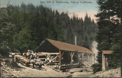 Saw Mill in Redwoods Gilroy, CA Postcard Postcard Postcard