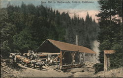 Saw Mill in Redwoods Gilroy, CA Postcard Postcard Postcard