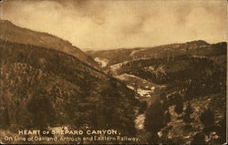 Heart of Shepard Canyon Postcard