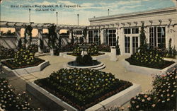 Bit of Venetian Roo Garden, H. C. Capwell Co. Postcard