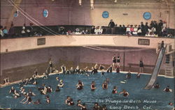 The Plunge in Bath House Postcard