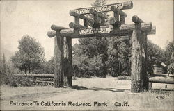 Entrance to California Redwood Park Postcard Postcard Postcard