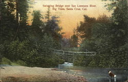 Swinging Bridge Over San Lorenzen River, Big Trees Postcard