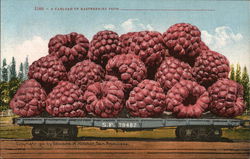 Carload of Raspberries Postcard