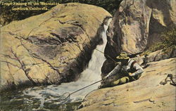 Trout Fishing in the Mountains, Southern California Postcard