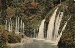 Moss Brae Falls Postcard