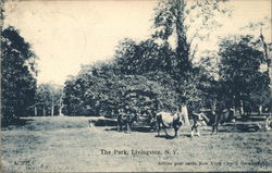 The Park Livingston, NY Postcard Postcard Postcard