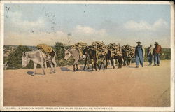 Mexican Wood Train on the Road to Santa Fe New Mexico Postcard Postcard Postcard