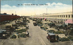 New Terminal Market Postcard