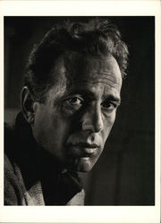 Humphrey Bogart Actors Postcard Postcard Postcard