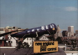 The Big Blue Bug, New England Pest Control Postcard