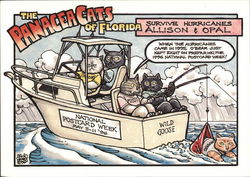 The Panacea Cats of Florida: National Postcard Week 1996 Postcard