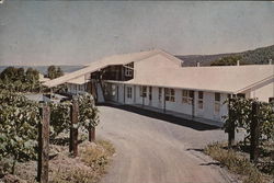 Vinehurst Motel (Home Among the Vines) Hammondsport, NY Postcard Postcard Postcard