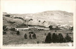 Mammoth Springs Hotel Yellowstone National Park Postcard Postcard Postcard