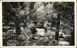 Dining, the World Famous Brookdale Lodge California Postcard Postcard Postcard