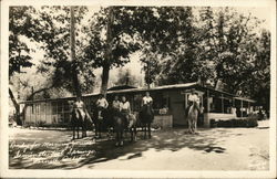 Ready for Morning Jaunt, Seminole Hot Springs Cornell, CA Postcard Postcard Postcard