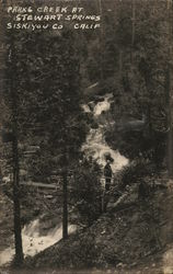 Parks Creek at Stewart Springs Postcard