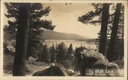 View of Water, Trees and Mountains Big Bear Lake, CA Postcard Postcard Postcard