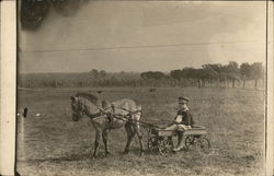 Boy In Wagon Pulled by Shetland Pony Horses Postcard Postcard Postcard